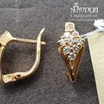 Auskarai su akmenukais