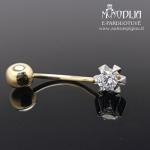 Auksinis auskaras į bambą