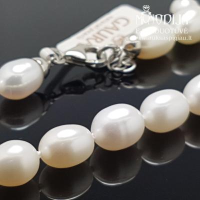 Sidabrinis perlų vėrinys
