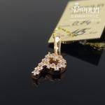 Auksinis pakabukas raidelė P