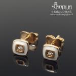 Auksiniai auskarai su akmenukais