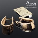 Auksiniai auskarai su baltu auksu