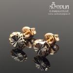 Auksiniai auskarai su baltu auksu