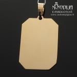 Auksinis pakabukas Plokštelė