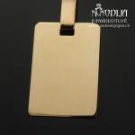 Auksinis pakabukas Plokštelė