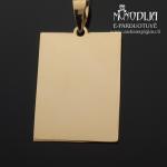 Auksinis pakabukas Plokštelė