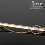 Auksinis kaklaraiščio segtukas