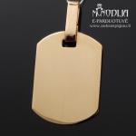 Auksinis pakabukas Plokštelė