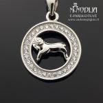 Sidabrinis pakabukas Avinas