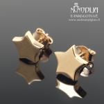 Auksiniai auskarai Žvaigždutės