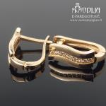 Auksiniai auskarai su akutėmis