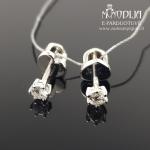 Balto aukso auskarai su briliantais