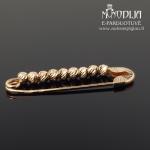 Auksinė sagė žiogelis