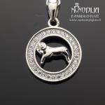 Sidabrinis pakabukas Avinas